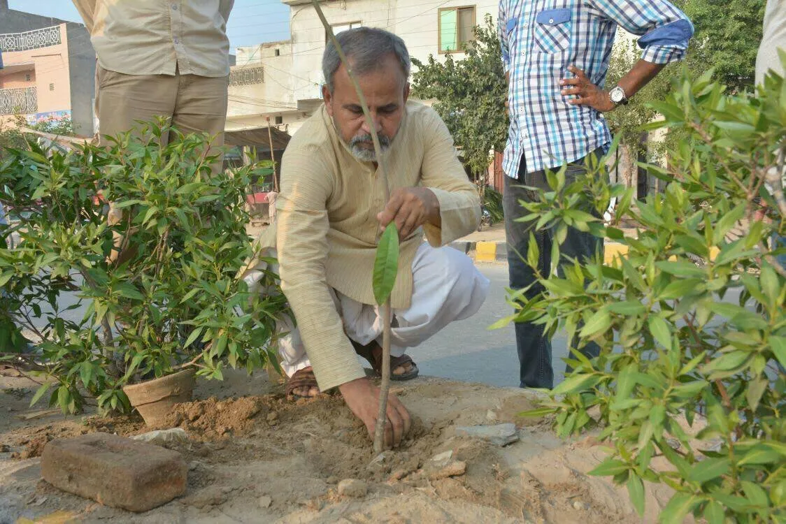 Green Seekers Activity